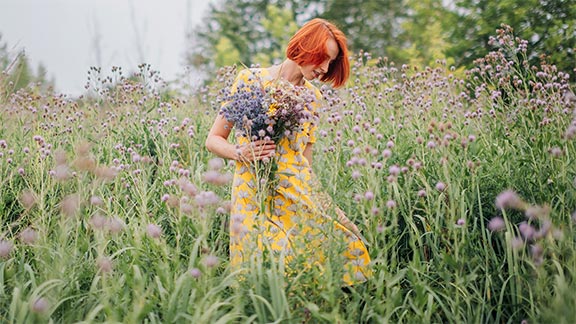 Schüt-Duis Insektenschutz Teaser